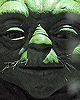 Master Yoda's Face Detail