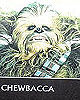 The Birth Of Chewbacca
